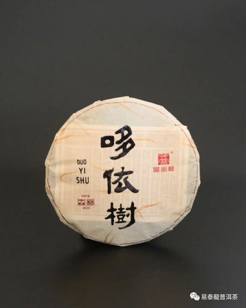 2023年 哆依树小饼